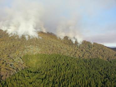 Bushfire prone land