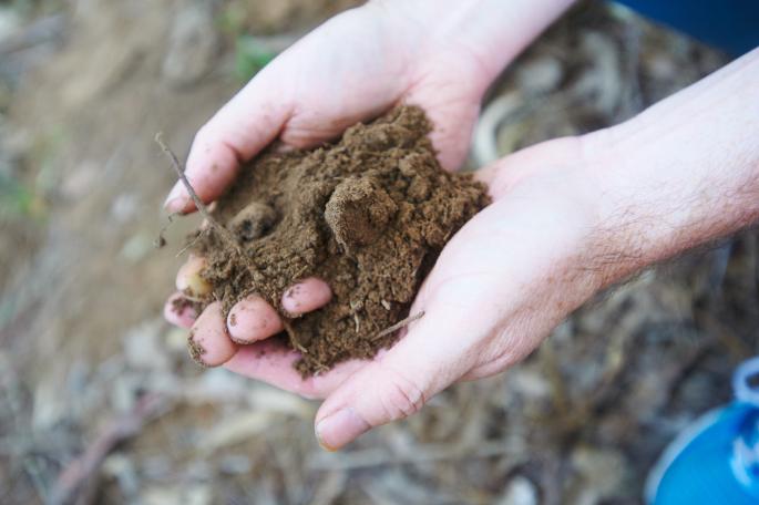 Soil profile sampling, testing, edirt program