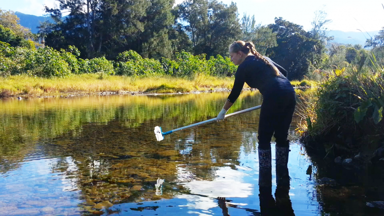 Citizen Scientist testing water quality as part of Bellingen Riverwatch